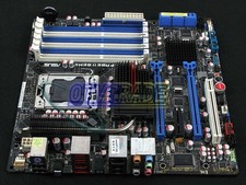   RAMPAGE II GENE   X58