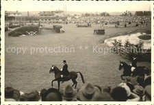 Pferdesport Pferderennen Reitsport Turnier