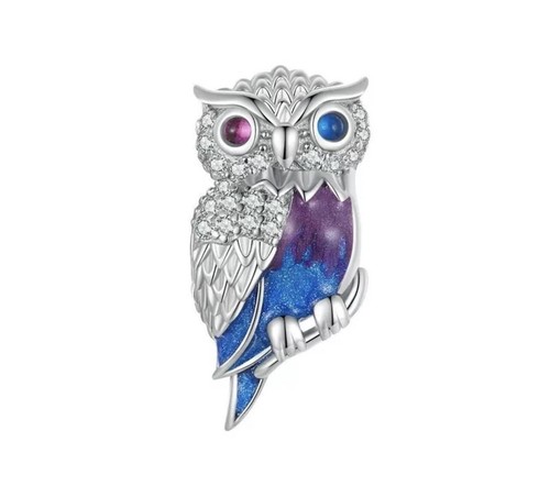 Magische eulenaugen charm - 💜,