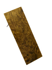 Stabilisierte Maserbirke