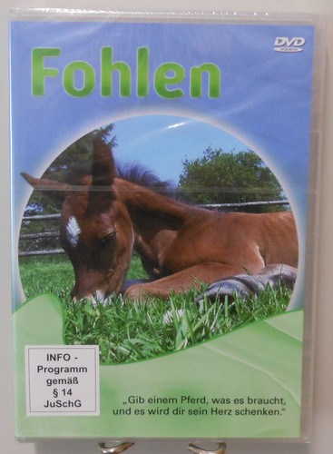 Fohlen dvd infofilm - dvd,
