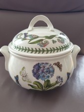 PORTMEIRION  BOTANIC GARDEN