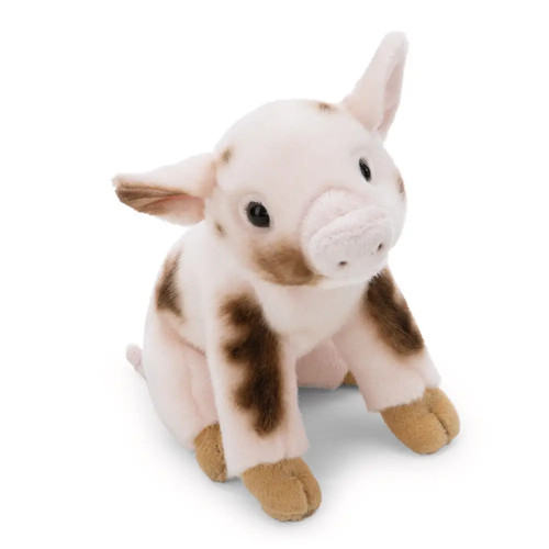Kuscheltier schwein - kuscheltier,