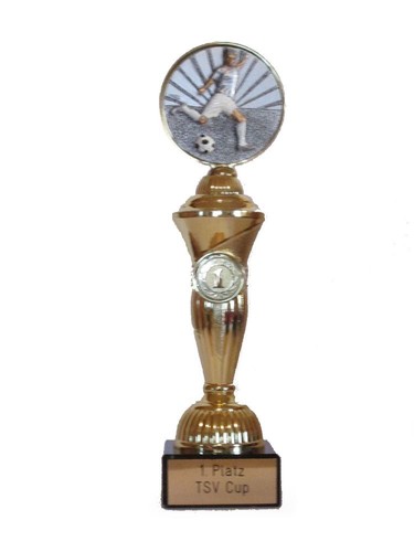 Fussball pokal mit - (spieler),