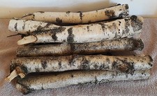 Birkenstamm Deko 10 Stück, 35