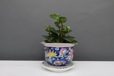 Porzellan Blumentopf  blau