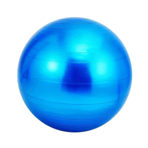 Dog herding ball - ball, bladder
