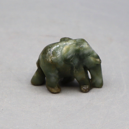 Wunderschöner elefant aus - elefant,