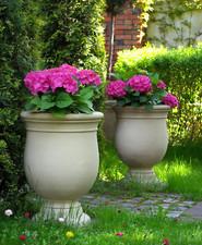 🔶Pflanzschale Amphore Pflanztopf Ferrara II Sandstein Steinkunst BLACKFORM