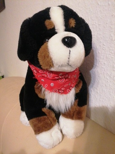 Plüschtier hund bernhardiner - hund,