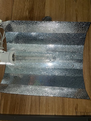 Ndl grow lampe 600w - lampe, mit