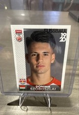 2019 Panini Fussball
