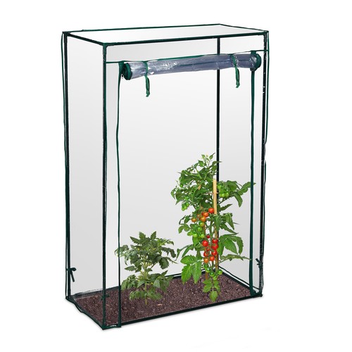 Tomatengewächshaus