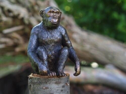 Bronzefigur sitzender affe - bronzefigur,