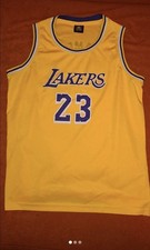 La Lakers Basketball NBA James