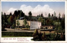 Ak Złotoryja Goldberg Schlesien, Gastwirtschaft Waldschloss - 10881403
