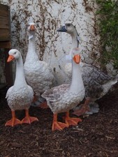 Gartenfigur Gans Gänse