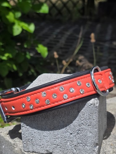 Hundehalsband 55cm leder - hundehalsband,