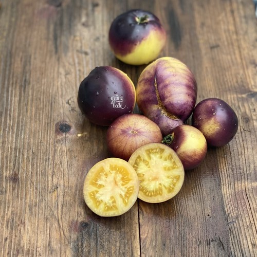 Tomate great white - white, 10