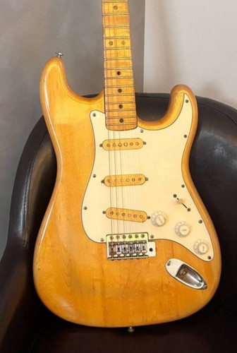 Fernandes burny custom - [fernandes],
