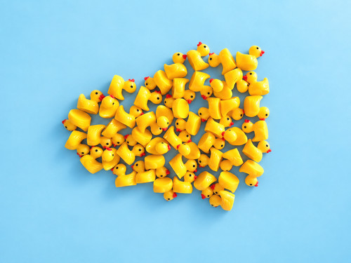 Mini enten 100 stück - enten,