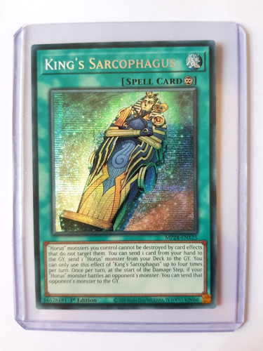 Sarkophag des königs - des,