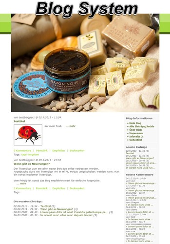 Blog system php - blog,
