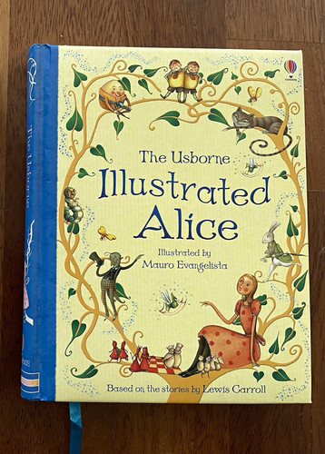 The usborne illustrated - the,