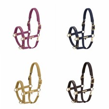 Halfter Girth Double Pin Eskadron Heritage 25/26 black truffle, navy, wildberry