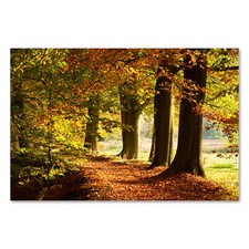 Postereck 1259 Poster Leinwand