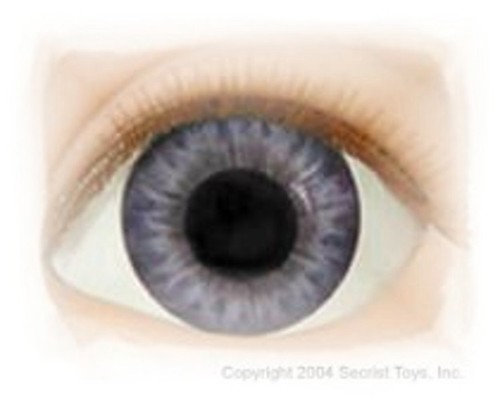Real eyes half round - ,