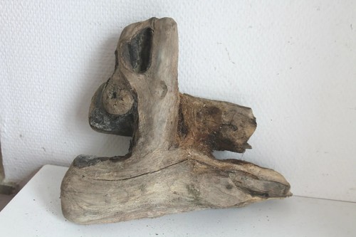Schwemmholz treibholz - schwemmholz,