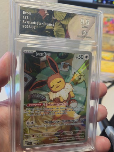 Evoli black star - evoli, promo