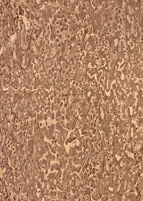 Klebefolie 2m x 45cm selbstklebend Holzdekor Möbelfolie Schrankfolie MOTIV 7