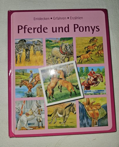 Kinderbuch pferde und - pferde,