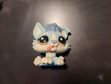 Littlest Pet Shop 1683 Husky Hund Blau Weiß Globe Sleddin Fun Petshop Lps Hasbro