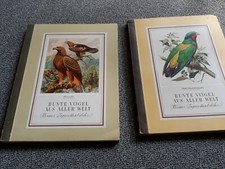 Bunte Vögel aus aller Welt