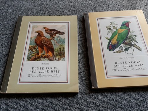Bunte vögel aus aller - aus, welt