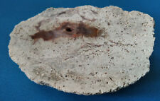 Achat von Sailauf Steinbruch