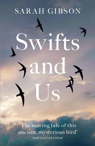 Swifts and the life - life, of
