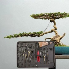 Bonsai-Werkzeugset