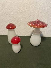 Glaspilz dekorative Pilze aus