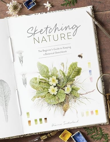 Sketching nature the - nature:,