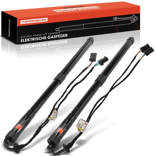 Gasfeder powerlift - 2x,