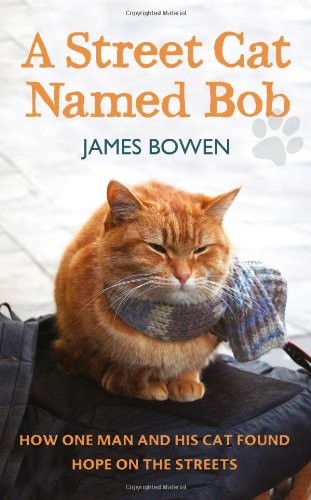 Street cat named - street, how