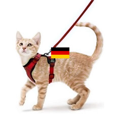 Katzengeschirr mit Leine
