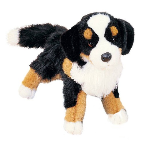 Trevor berner sennenhund - berner,