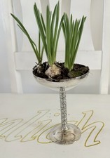 Sekt kelch jardiniere - sekt,