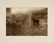 David Hamilton Silberauflage