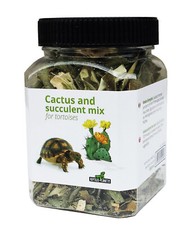 Reptiles-Planet Cactus &